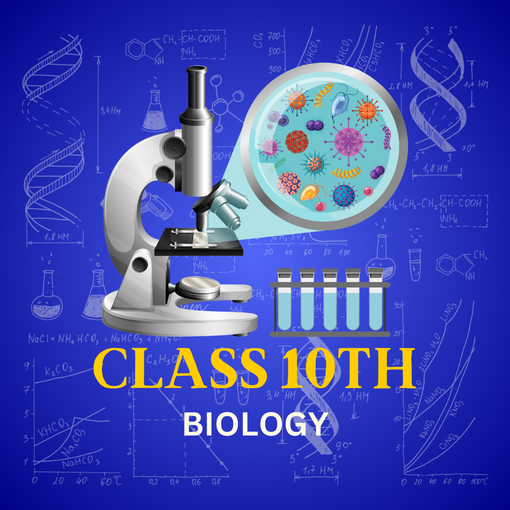 Rubber Gasket Outer LID 3